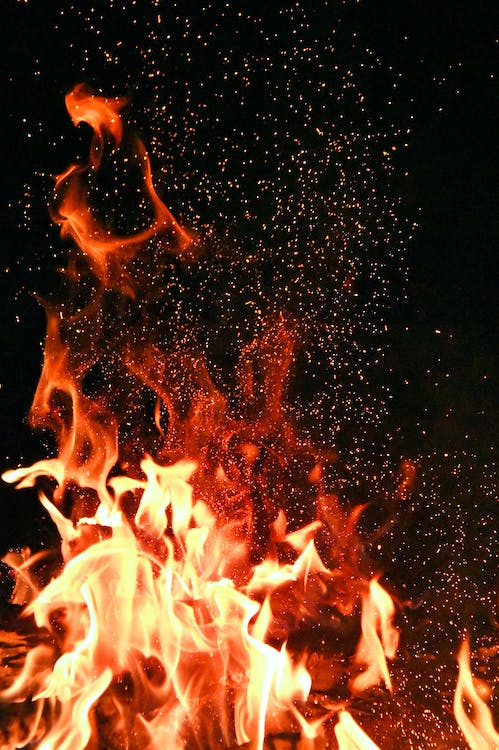 pexels-photo-1558916