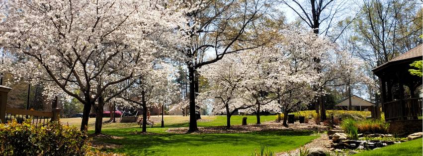 Facebook Cover_DRM (1) – Copy